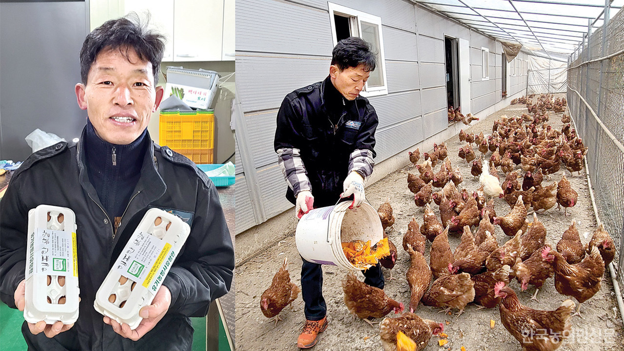 [새해특집] 유기농산물 먹고 지리산 자락 누비는 행복한 닭