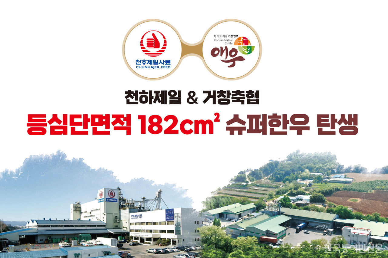 천하제일사료, 6개 농장서 슈퍼한우 배출...슈퍼한우 만들기 프로젝트 마무리