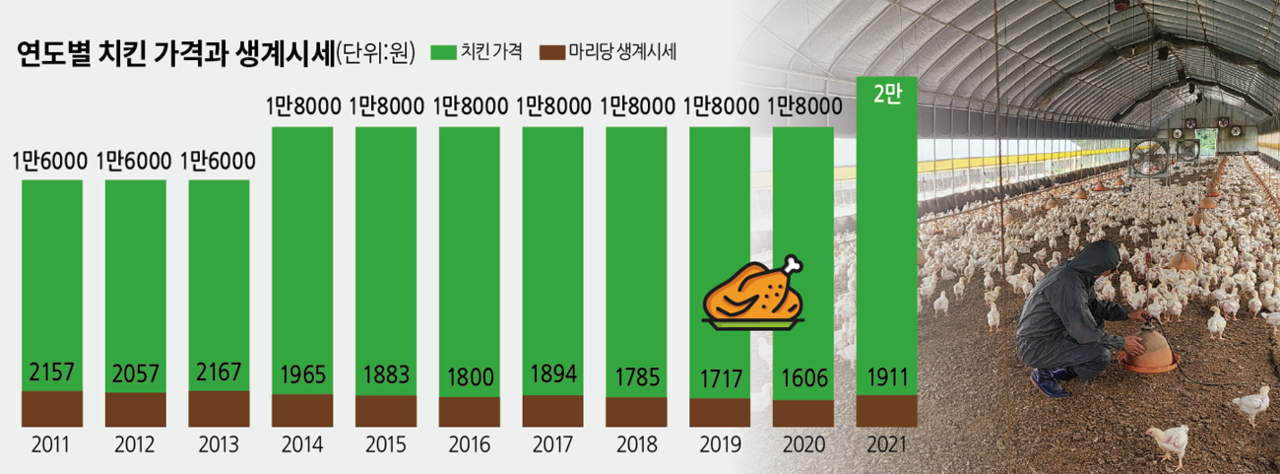 농축산물 생태 이해 외면…치킨값 상승 주범몰이 분통