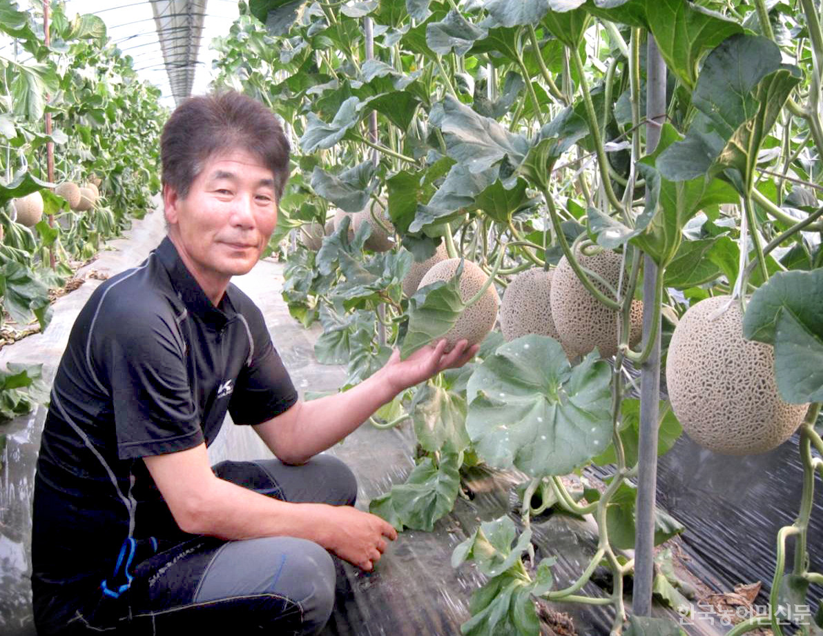 곡성멜론주식회사ㅣ40년 노하우로 재배한 고당도 프리미엄 멜론 세계 누빈다