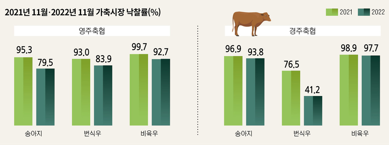 얼어붙은 한우시장…송아지도 고기도 살 사람이 없다