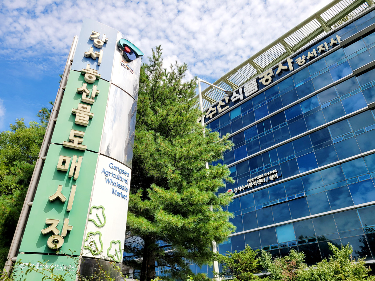 강서시장 수박 파렛트화 추진…유통 종사자 시기상조 들썩