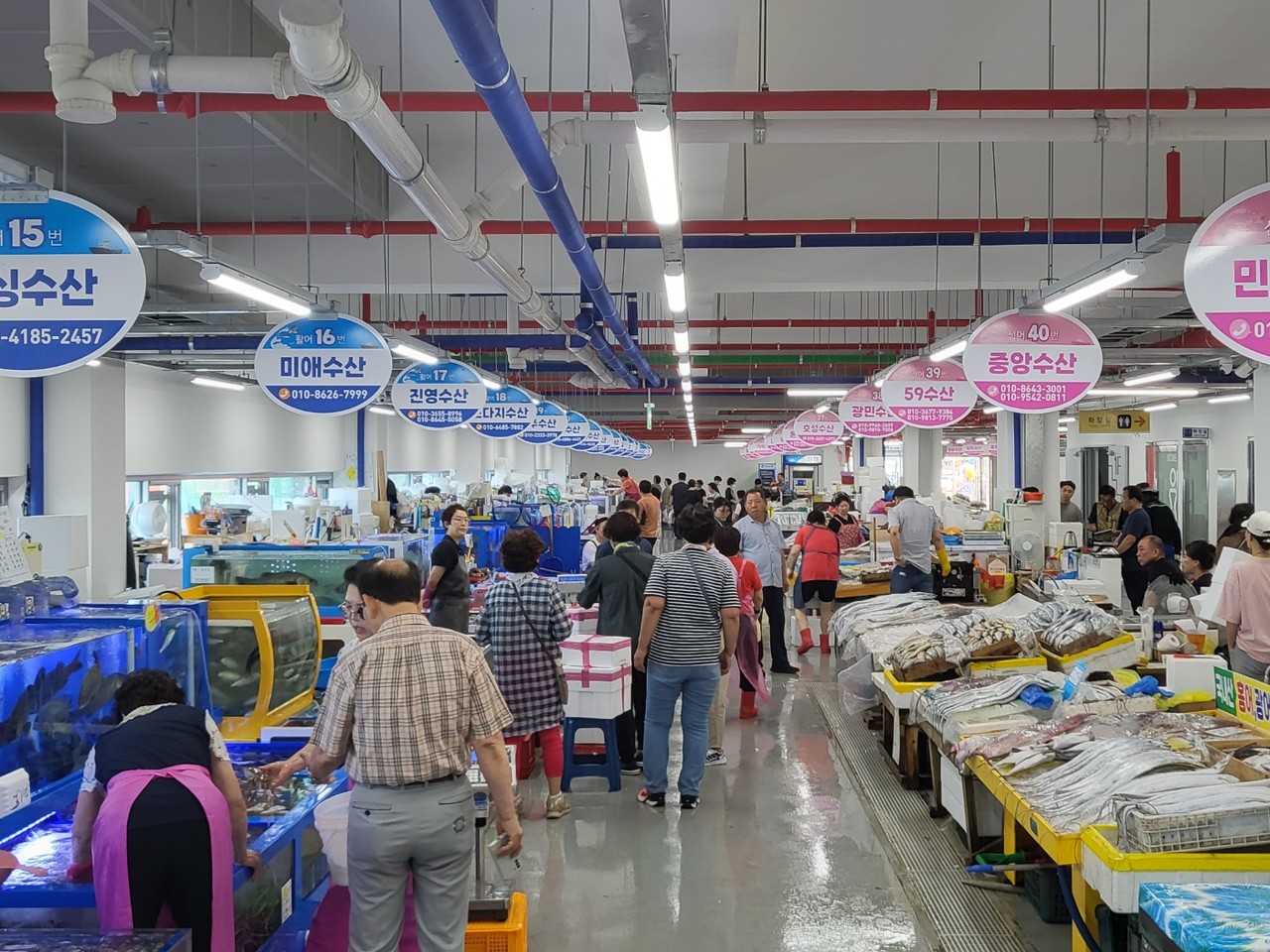 군산수산물종합센터, 원산지표시 최우수 시장 선정
