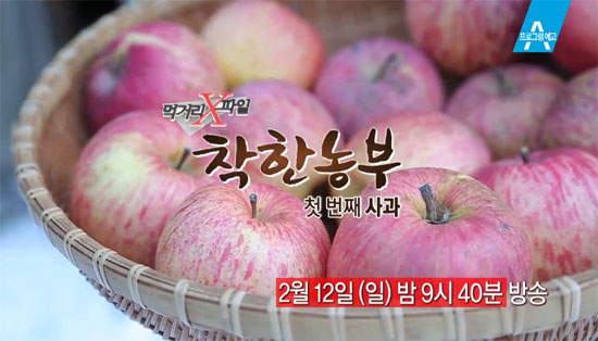 먹거리 X파일, 착한 사과 만드는 착한 농부 찾아 나선다