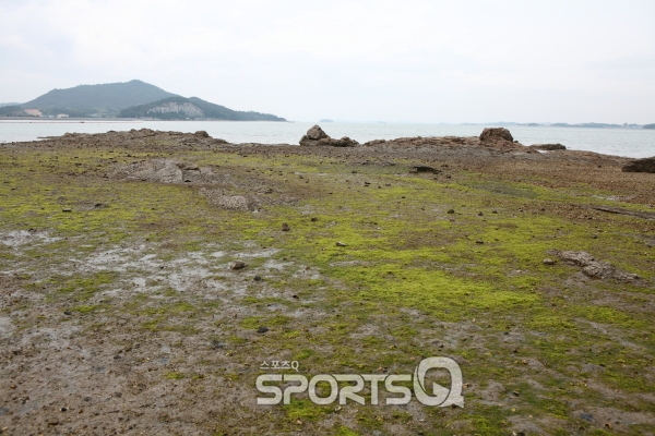 전라남도 가볼만한 곳 무안 톱머리 해수욕장,무안생태갯벌센터· 회산백련지와 1박2일 남도여행 무안 코스로 최적...맛집·펜션도 즐비