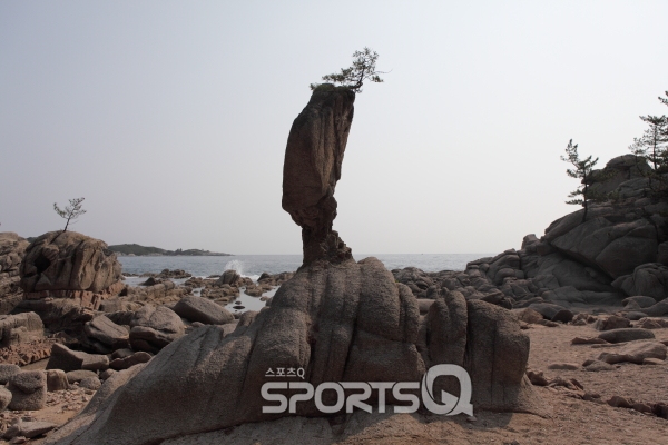 송지호해수욕장 인근 서낭바위 강원도 가볼만한 곳으로 엄지 척! 고성 라벤터 축제장 등으로 여행할 때 고성 여행코스에 꼭!