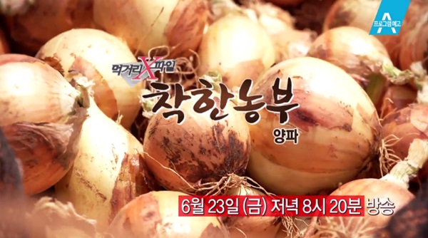 먹거리 X파일 건강한 양파 재배하는 착한 농부 찾아 나선다