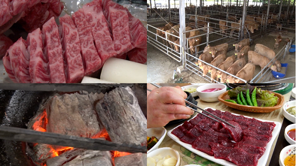 VJ특공대 이색 빙수 총집합, 부산 국제시장 팥빙수-임금님빙수-실타래빙수-눈사람빙수-19금빙수-두리안빙수