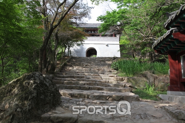 송호리 국민관광지 야영장