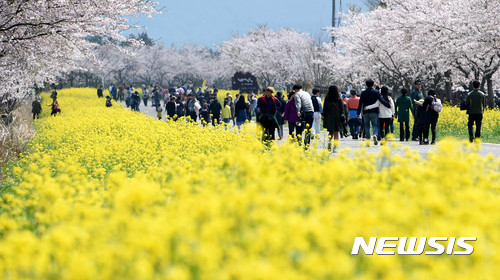 열리는 표선면 가시리 녹산로· 성산읍 섭지코지 등 서귀포 곳곳 명소가 가볼만한 여행지로 눈길, 걷기대회 시기인 3월 24~25일 제주날씨는 맑음
