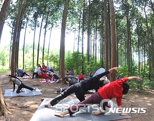 산림청이 추천하는 8월 숲체험 여행지 국립자연휴양림과 산촌생태마을 7개 장소는? 경기도 연천 고대산산촌마을, 전북 부안변산자연휴양림 등