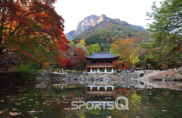백양사 단풍축제 이번주말 끝! 전남 장성 백암산 백학봉 오르는 대표적 등산코스는 10km 5시간