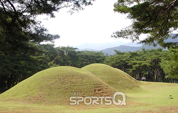 핑크뮬리 피던 첨성대와 단풍명소 불국사만 찾지 말고 경주 남산을 여행하라