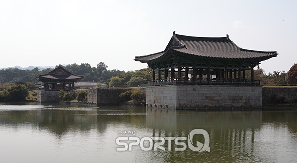 핑크뮬리 피던 첨성대와 단풍명소 불국사만 찾지 말고 경주 남산을 여행하라