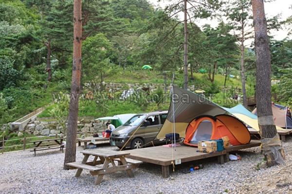 전국 국립자연휴양림 7월15일 에어컨 가동, 예약은 숲나들e에서
