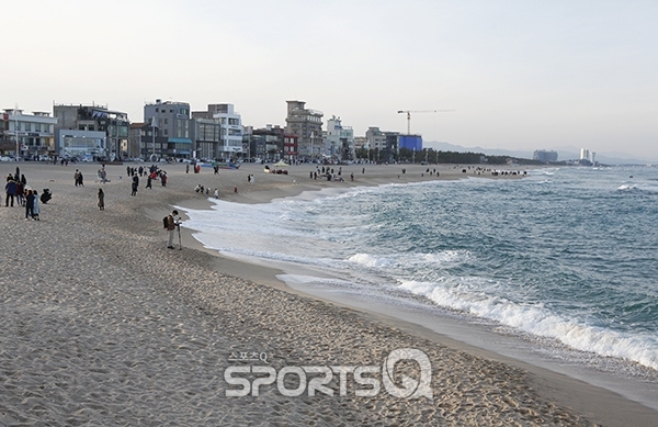 겨울바다 낭만이 넘실대는 강릉 안목해변 커피거리