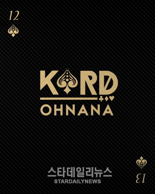 DSP, 신예 그룹 선보인다.. K.A.R.D 프로젝트 기습 예고