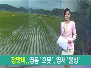 장맛비..영동 흐뭇 ,영서 울상