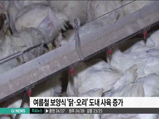 여름철 보양식 닭.오리 도내 사육 증가