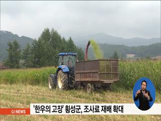 한우의 고장 횡성군, 조사료 재배 확대