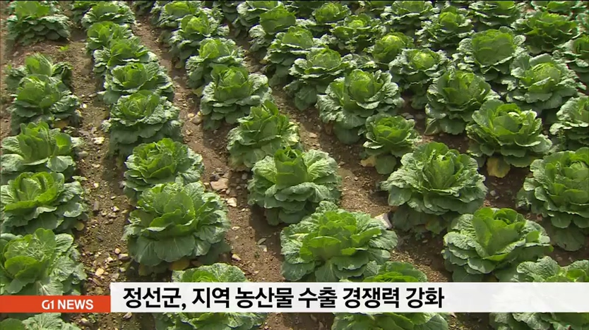 정선군, 지역농산물 수출 경쟁력 강화