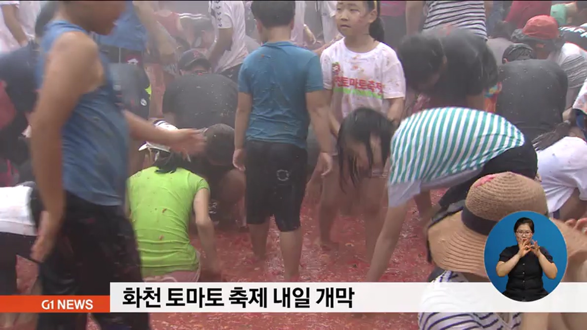 화천 토마토 축제 내일 개막