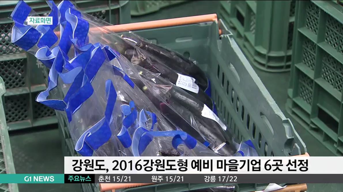 강원도형 예비 마을기업 6곳 선정