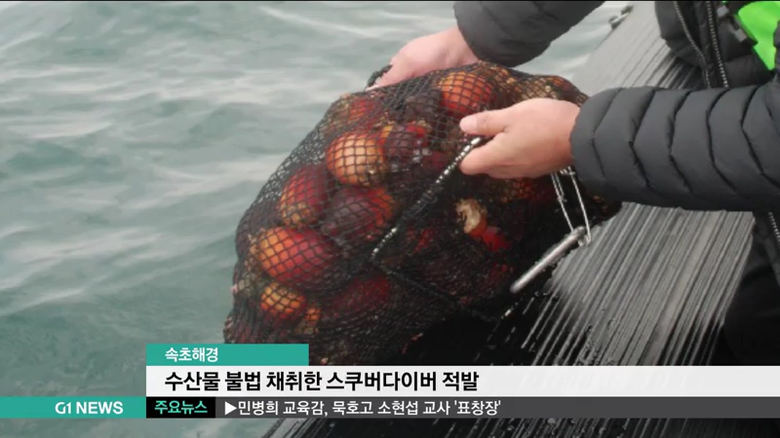 속초해경, 수산물 불법 채취한 스쿠버 적발