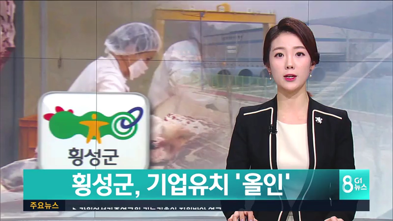 횡성군, 기업유치 올인