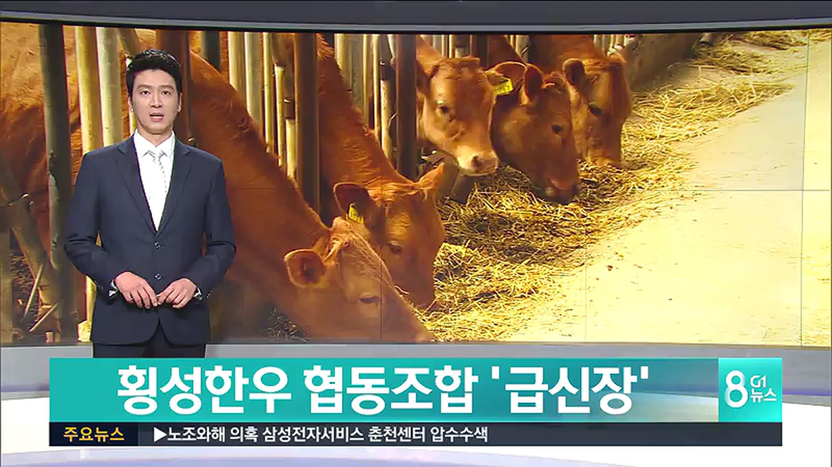 횡성한우협동조합 급신장