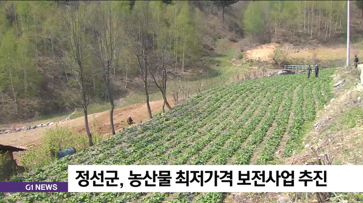 정선군, 농산물 최저가격 보전사업 추진