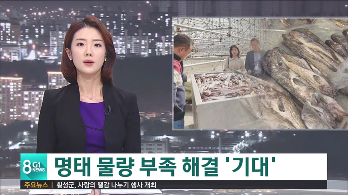 명태 물량 부족 해결 기대