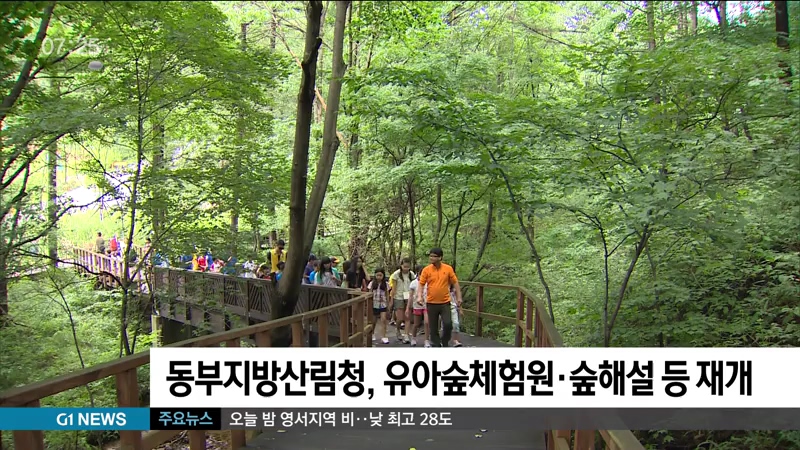 동부지방산림청, 유아숲체험원.숲해설 등 재개