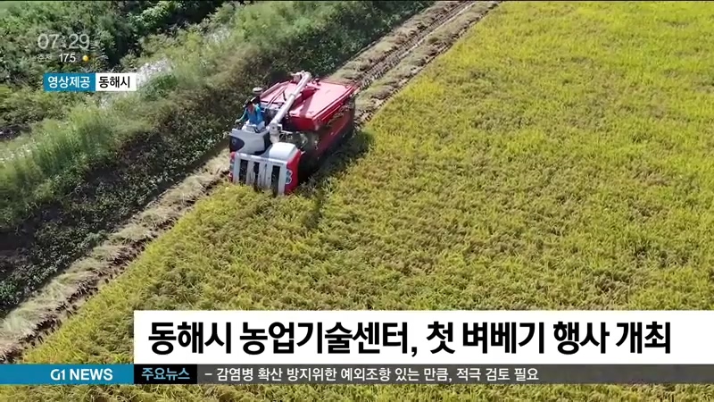 동해시 농업기술센터, 첫 벼베기 행사 개최