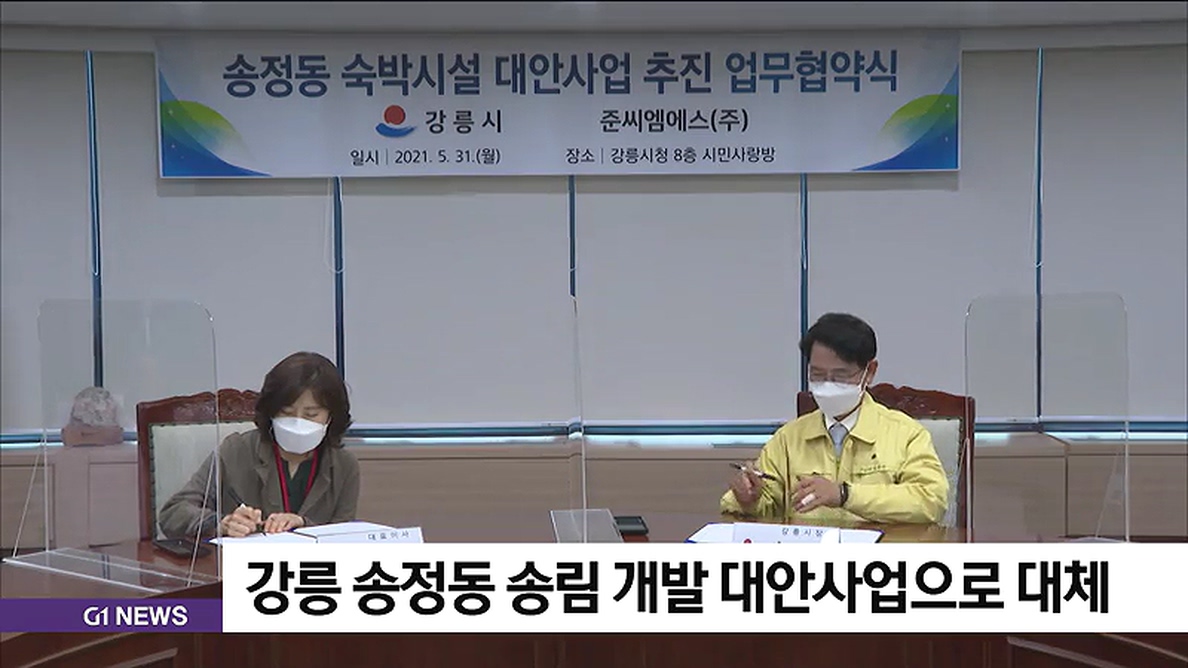 강릉 송정동 송림 개발 대안사업으로 대체