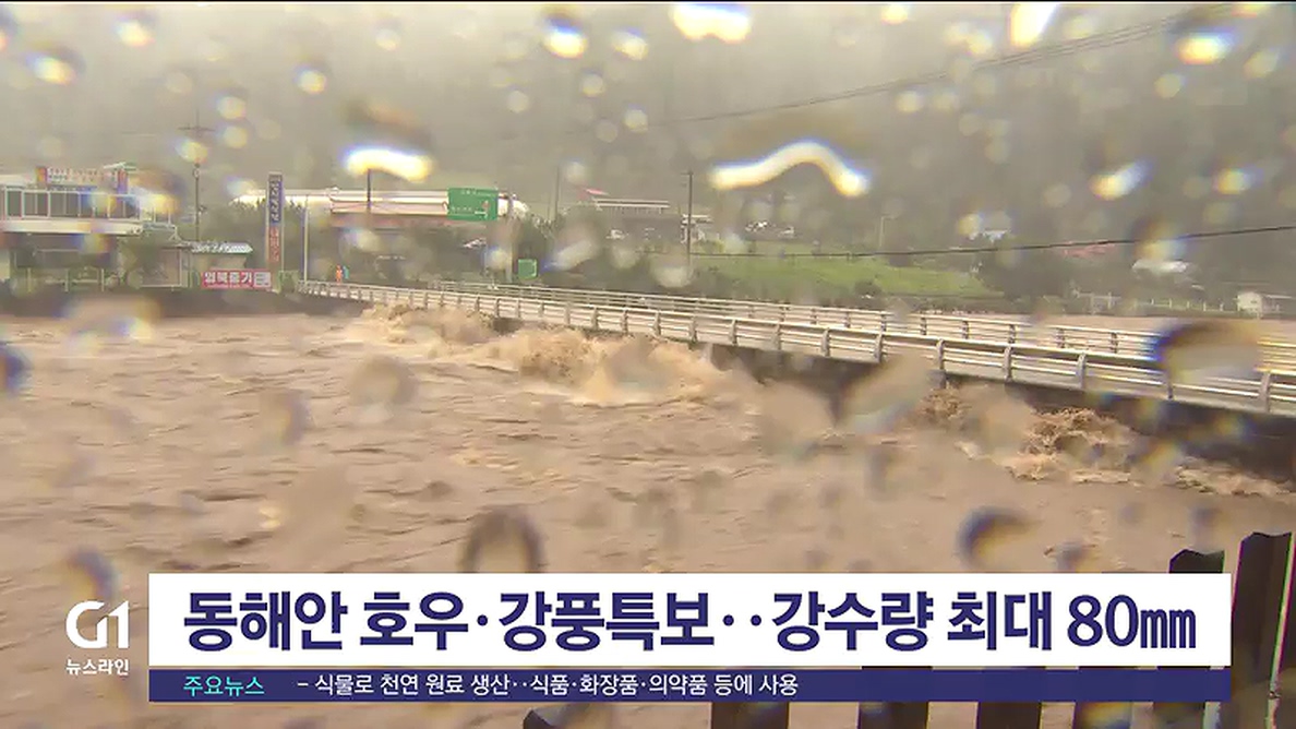 동해안 호우·강풍특보..강수량 최대 80mm