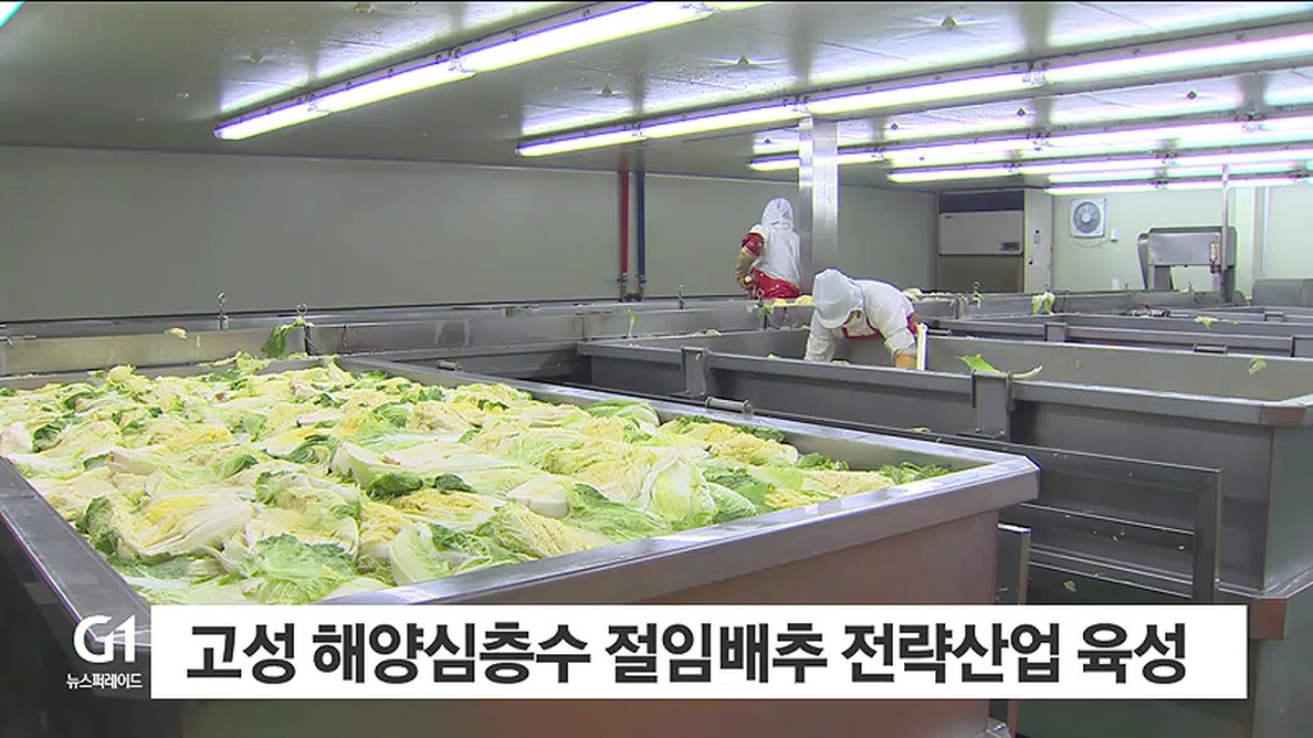 고성 해양심층수 절임배추 전략산업 육성