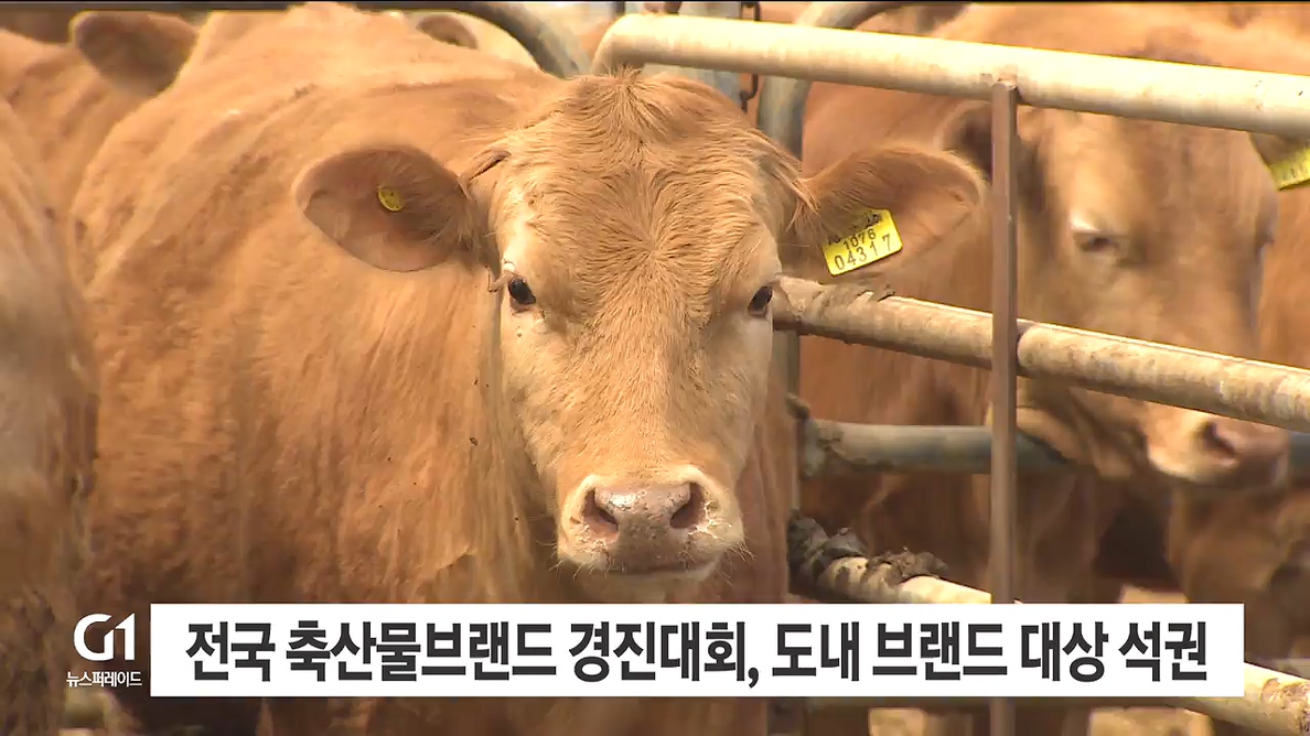전국 축산물브랜드 경진대회, 도내 브랜드 대상 석권