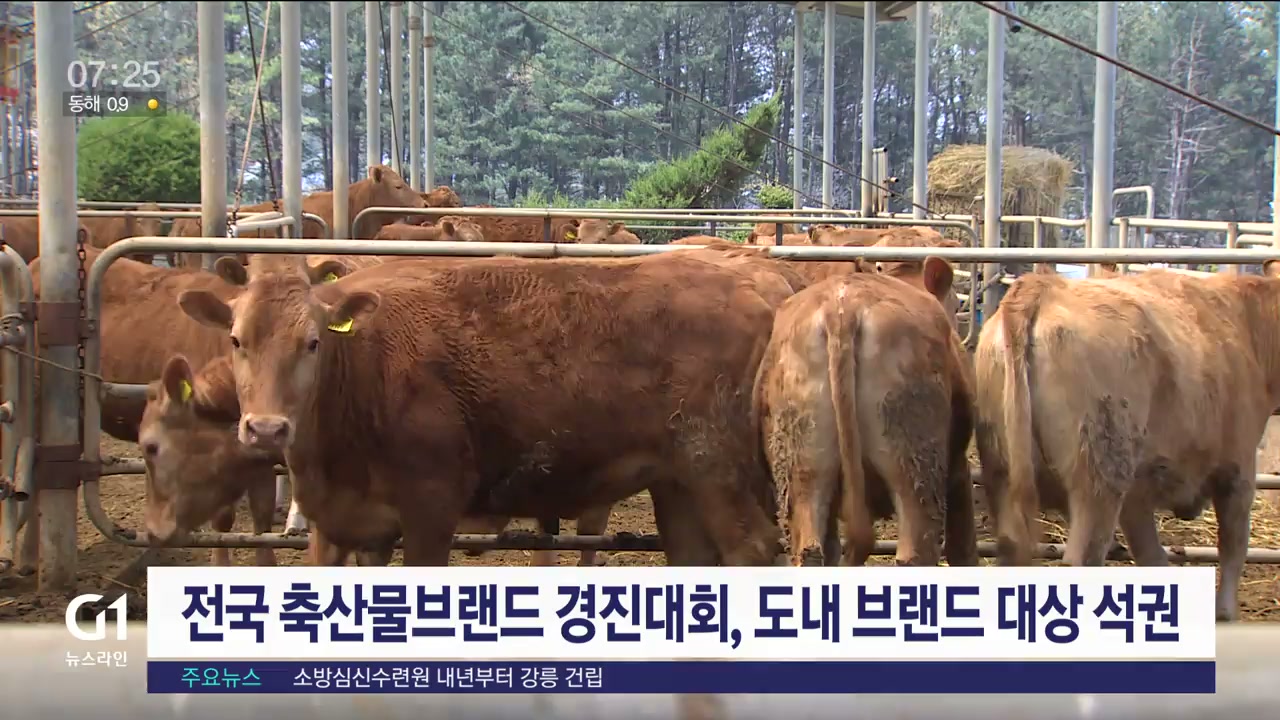전국 축산물브랜드 경진대회, 도내 브랜드 대상 석권