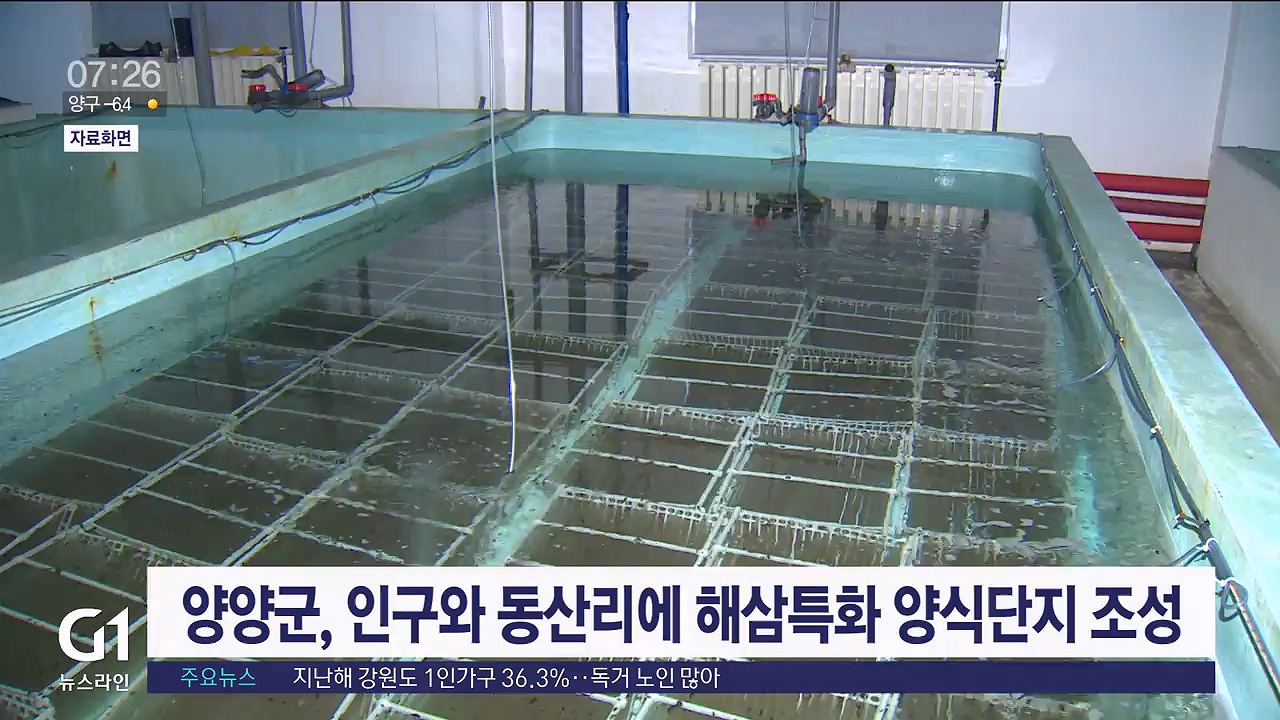 양양군, 해삼특화 양식단지 집중 조성