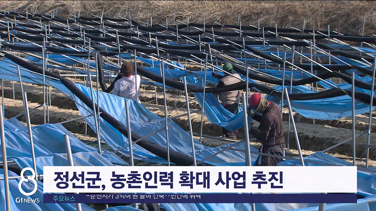 정선군, 농촌인력 확대 사업 추진