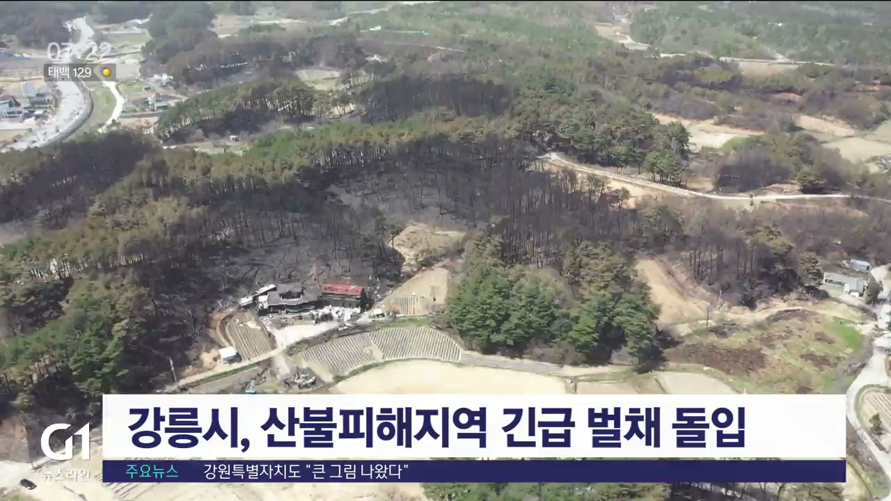 강릉시, 산불피해지역 긴급 벌채 돌입