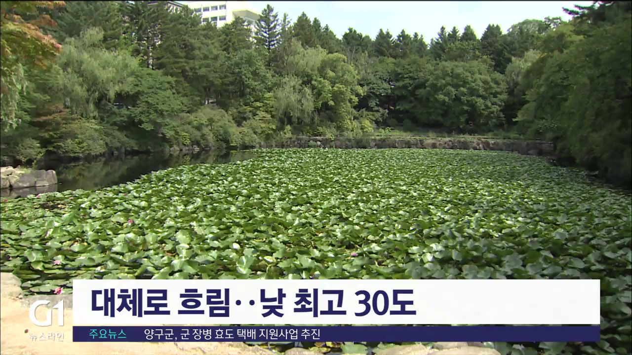대체로 흐림..낮 최고 30도