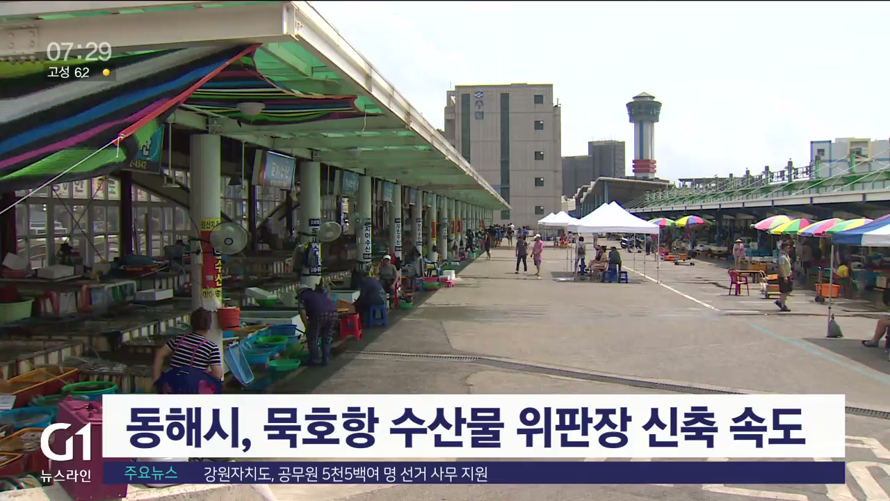 동해시, 묵호항 수산물 위판장 신축 속도