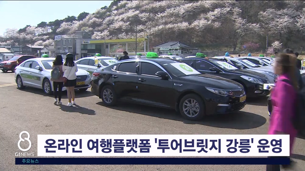 온라인 여행플랫폼 투어브릿지 강릉 본격 운영