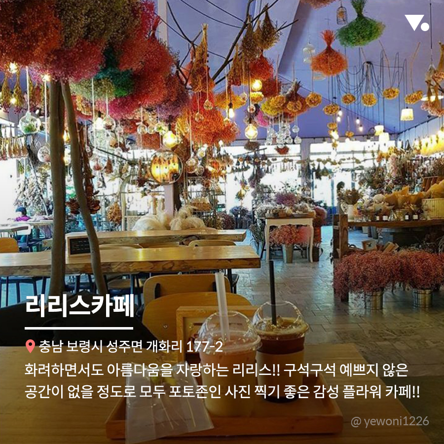 봄이 온 게 느껴지나요? 전국 플라워 카페 BEST 6