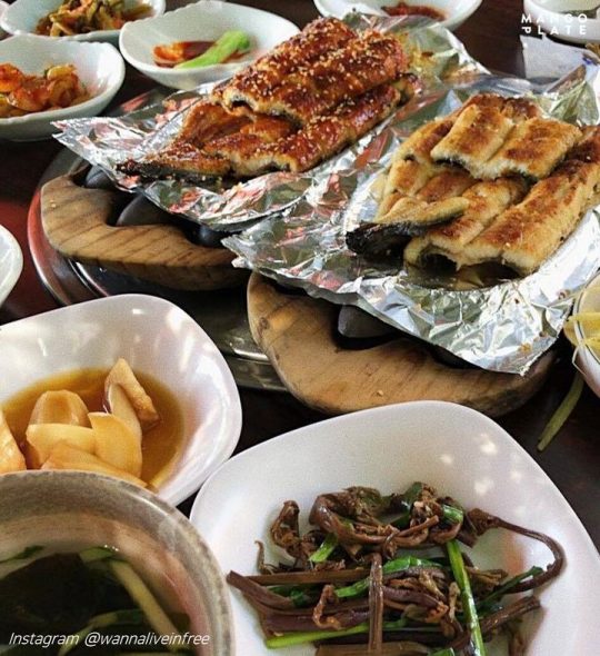 밥블레스유 방송 맛집: 밥 잘 먹는 언니들의 픽