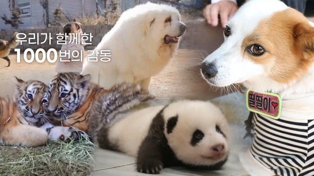 나는 ‘선 넘는’ 동물농장을 기대한다