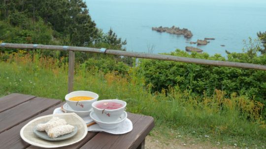 감자, 옥수수로 커피를 만든다고? 강릉 카페 BEST 8