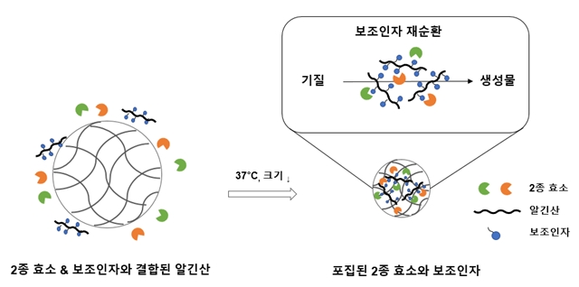 지속적 약물제조 올인원 친환경 나노반응기 개발